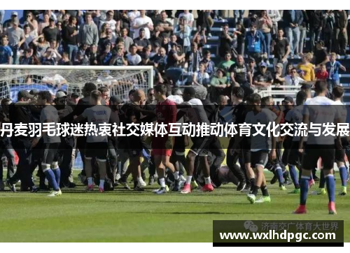 丹麦羽毛球迷热衷社交媒体互动推动体育文化交流与发展