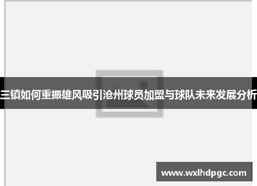 三镇如何重振雄风吸引沧州球员加盟与球队未来发展分析