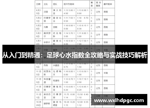 从入门到精通：足球心水指数全攻略与实战技巧解析
