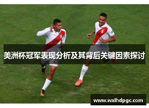 美洲杯冠军表现分析及其背后关键因素探讨